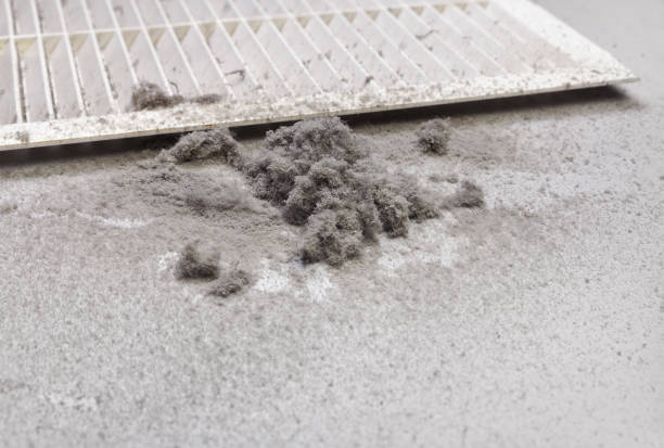 Best Emergency Air Duct Cleaning  in Munford, TN