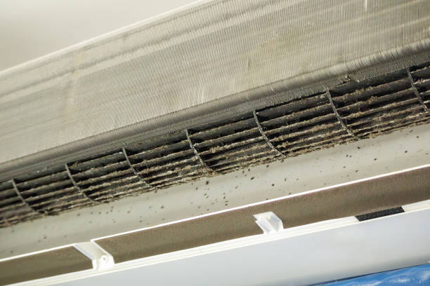 Best HVAC Duct Inspection Services  in Munford, TN